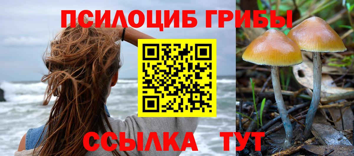 наркотики  Галлюциногенные грибы GOLDEN TEACHER  Вход с VPN  Галлюциногенные грибы MAGIC MUSHROOMS  Тихвин 
